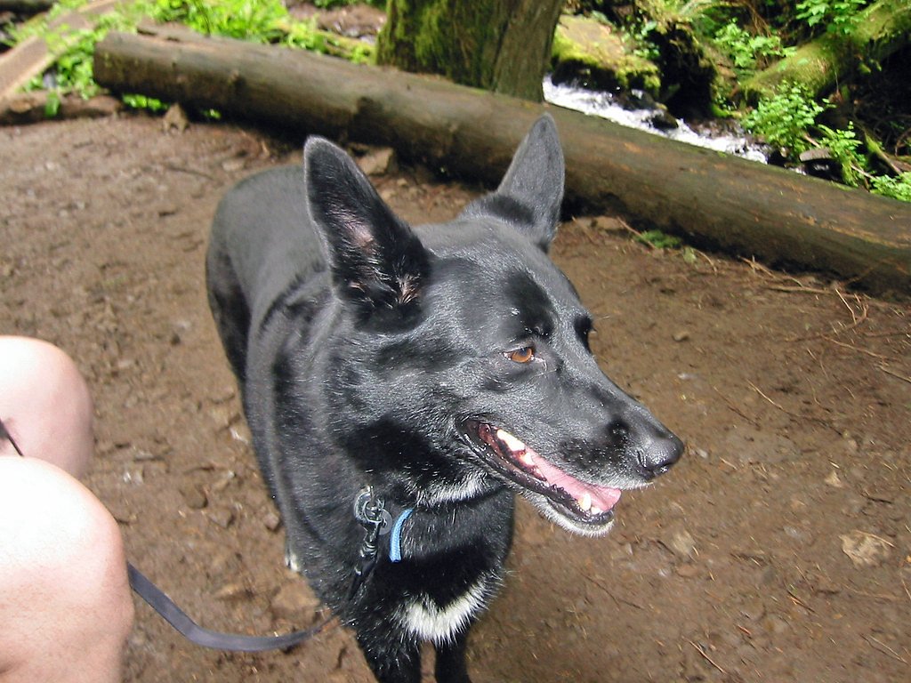 Bonnie Falls waterfall