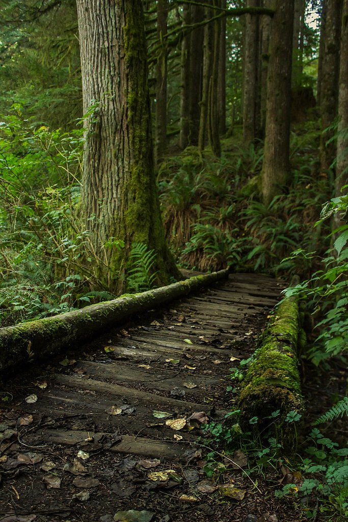 Boulder Falls waterfall