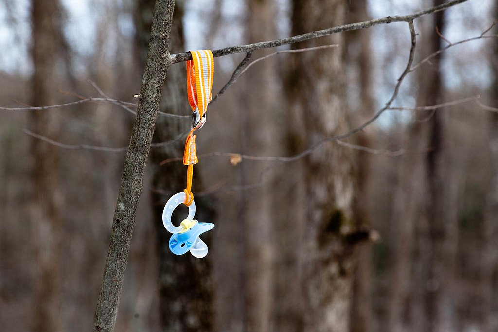 Bozen Kill Falls waterfall