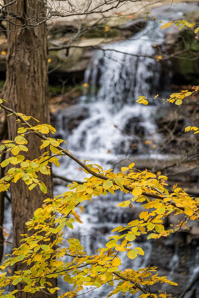 Brandywine Falls waterfall