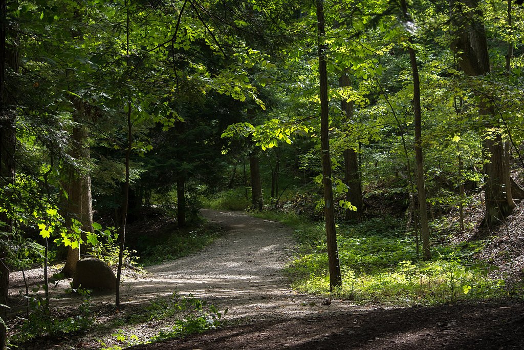 Bridal Veil Falls waterfall
