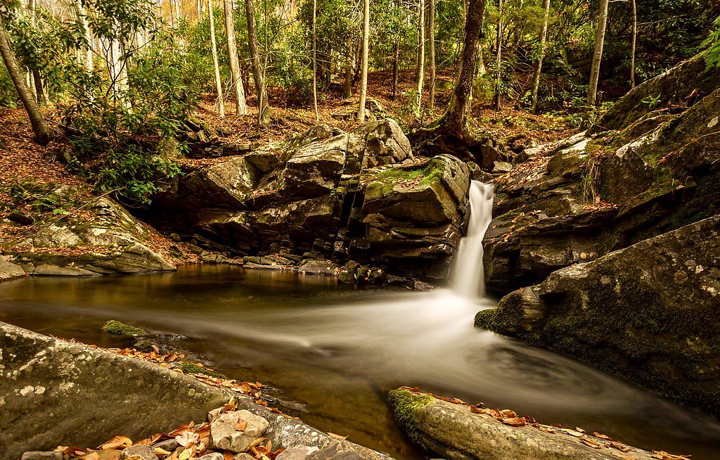 Brooks Falls waterfall