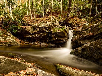 Brooks Falls