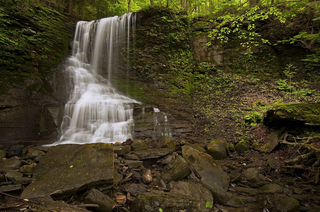 Bucktail Falls waterfall