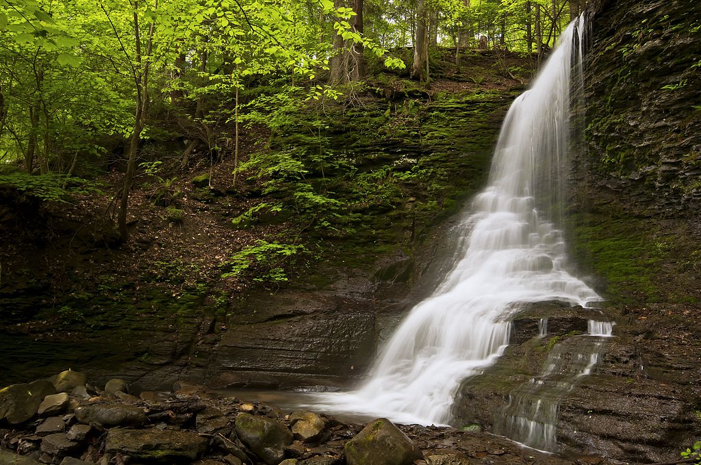 Bucktail Falls waterfall