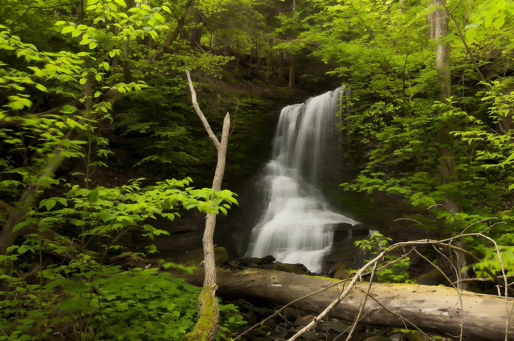 Bucktail Falls waterfall