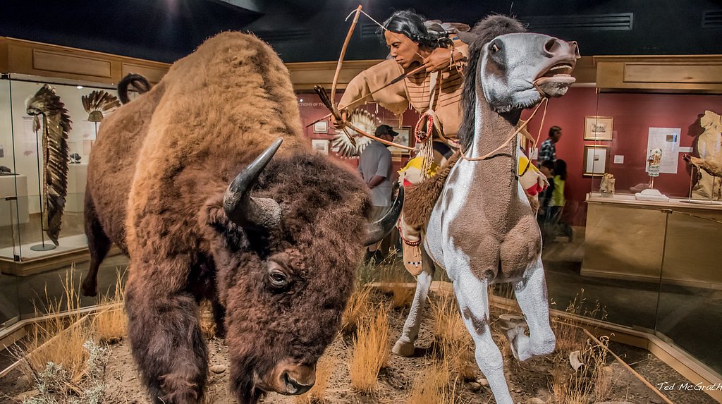 Buffalo Falls waterfall