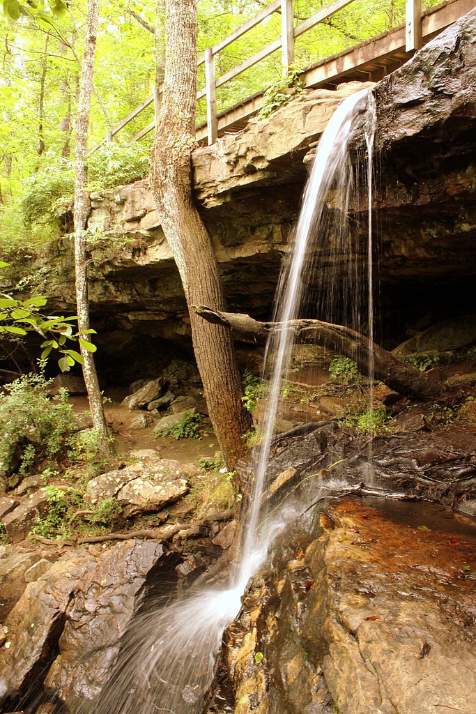 Butler Falls waterfall