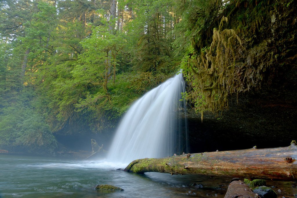 Butte Creek Falls waterfall