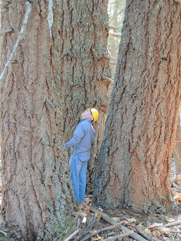 Butte Falls waterfall
