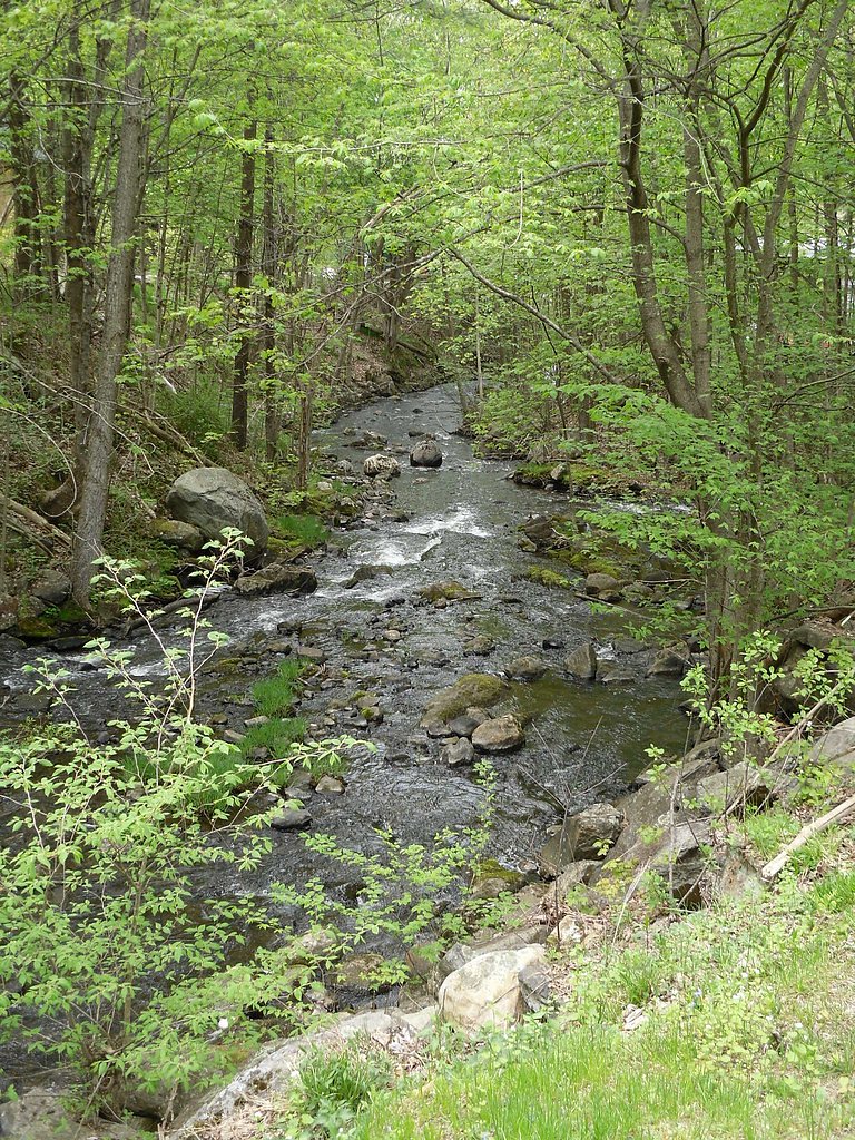 Buttermilk Falls waterfall