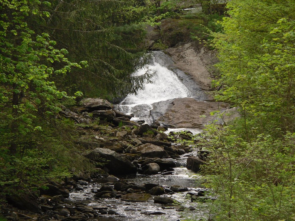 Buttermilk Falls waterfall