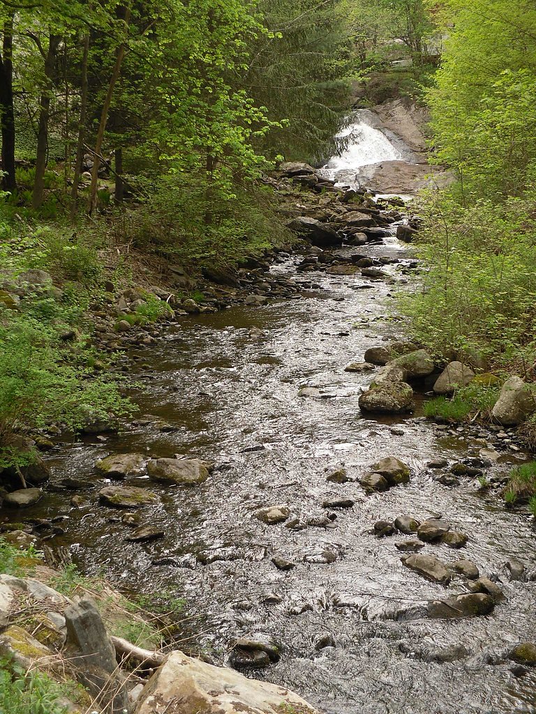 Buttermilk Falls waterfall