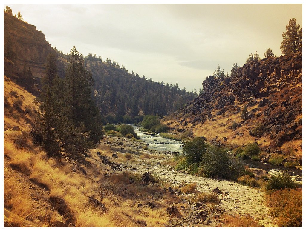 Campbell Falls waterfall