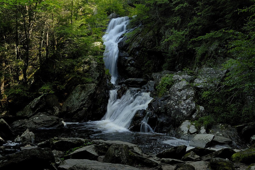 Campbell Falls waterfall