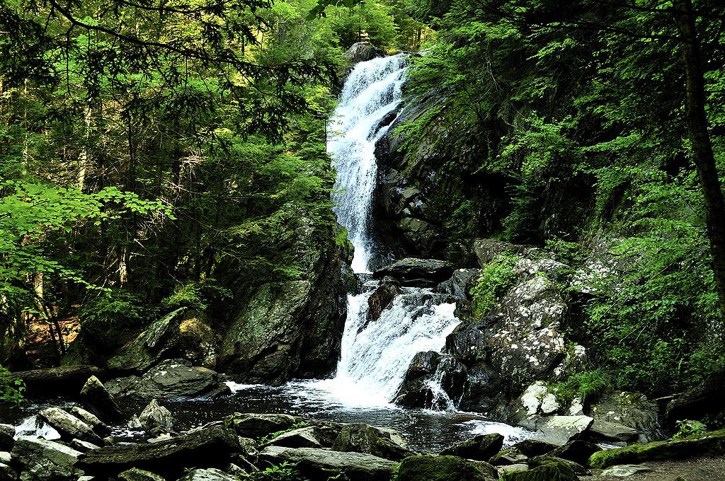 Campbell Falls waterfall