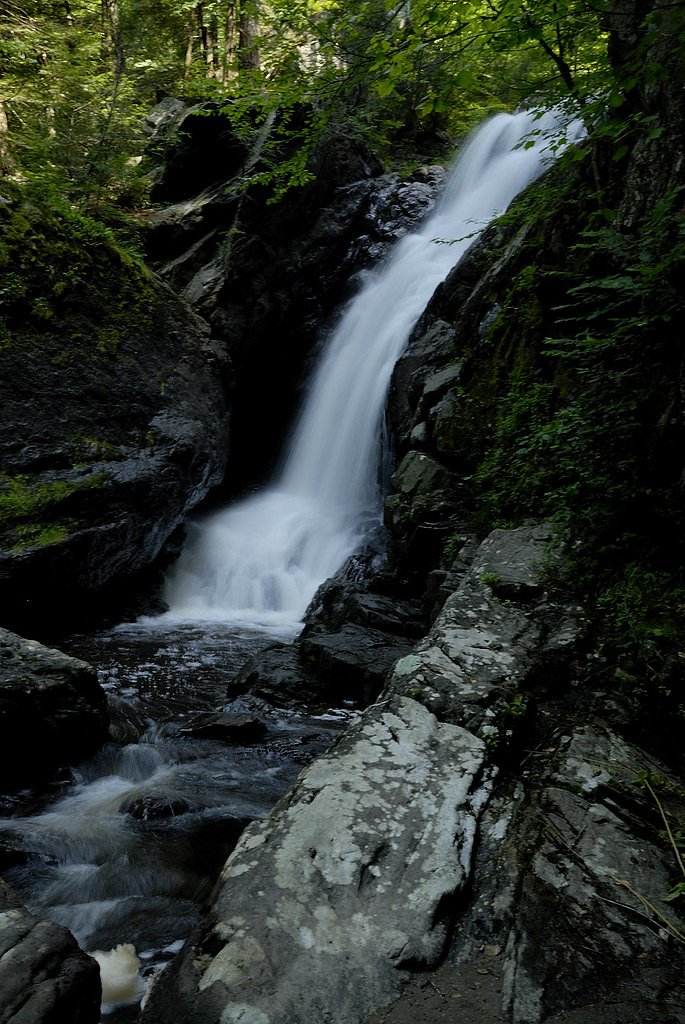 Campbell Falls waterfall