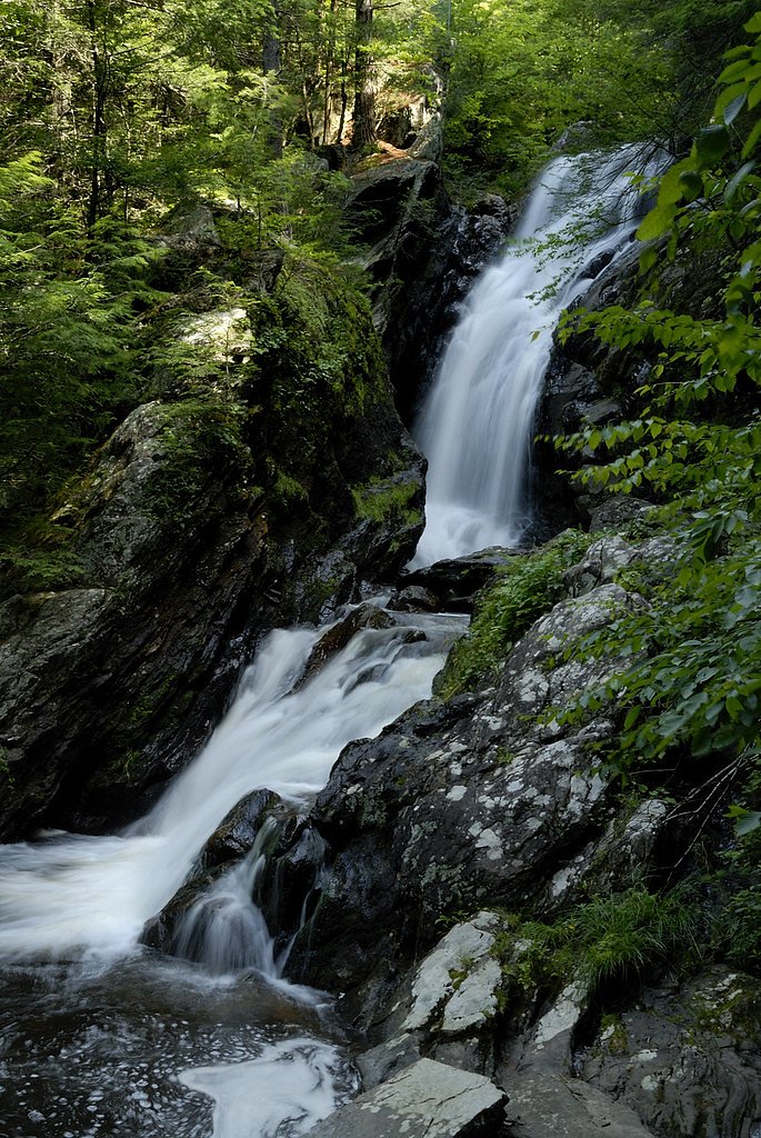 Campbell Falls waterfall