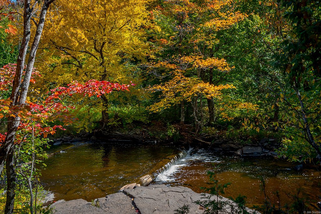 Canyon Falls waterfall