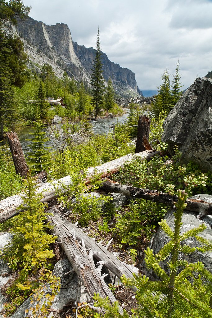 Canyon Falls waterfall