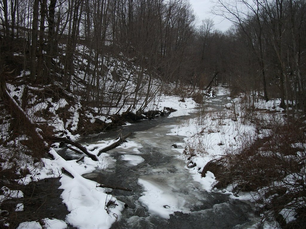 Carpenter Falls waterfall
