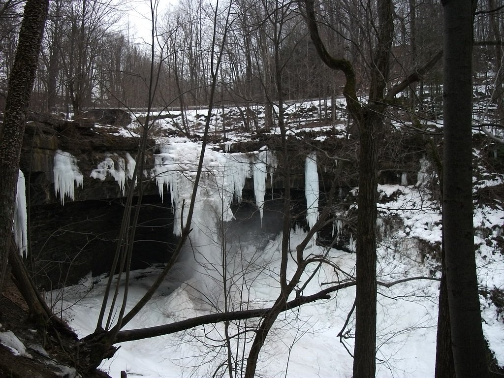 Carpenter Falls waterfall