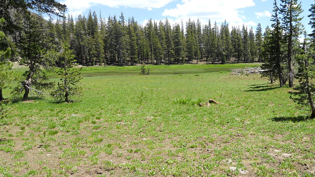 Carson Falls waterfall