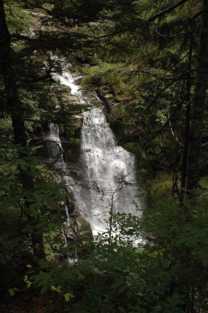 Carter Falls waterfall