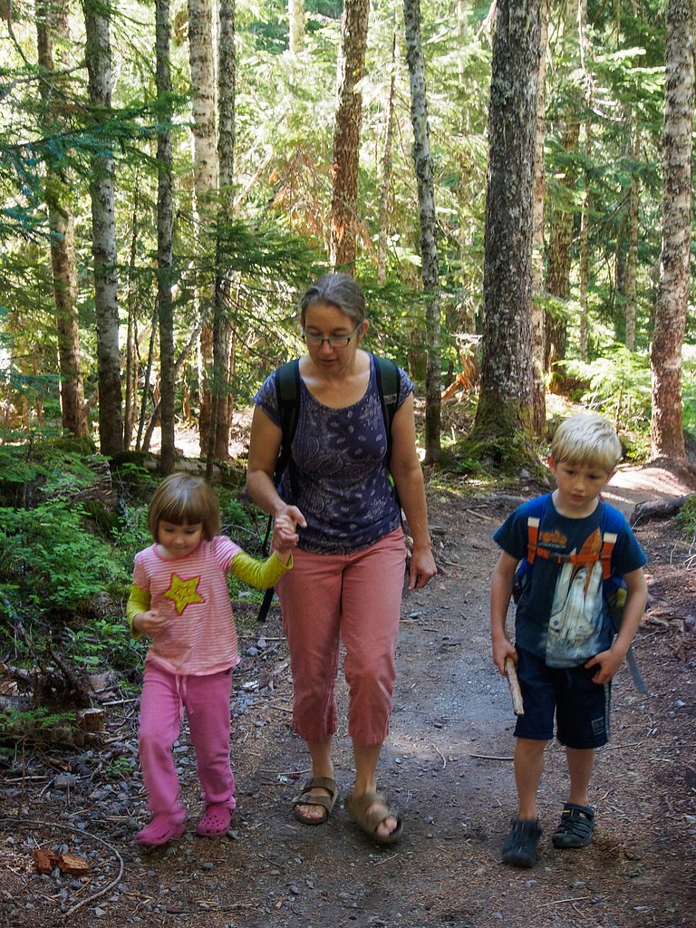 Carter Falls waterfall