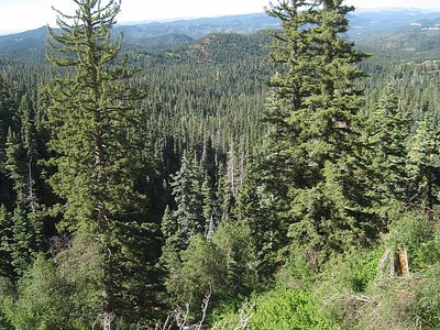 Cascade Falls