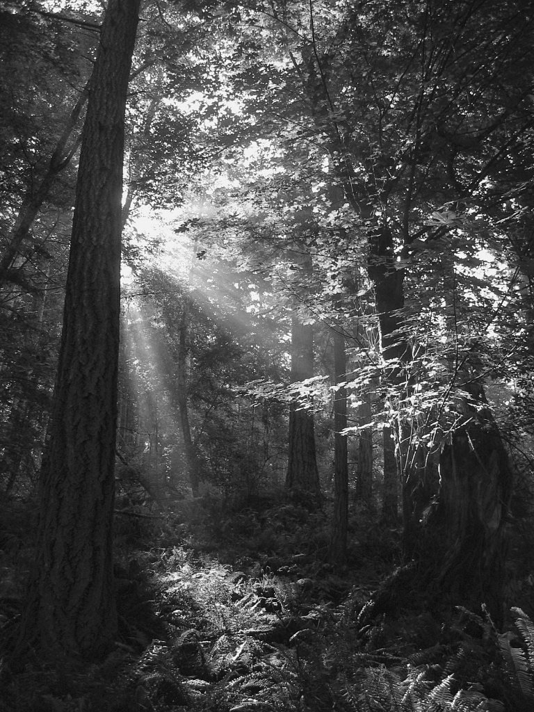 Cascade Falls waterfall