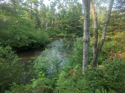Cataract Dam Falls, MI