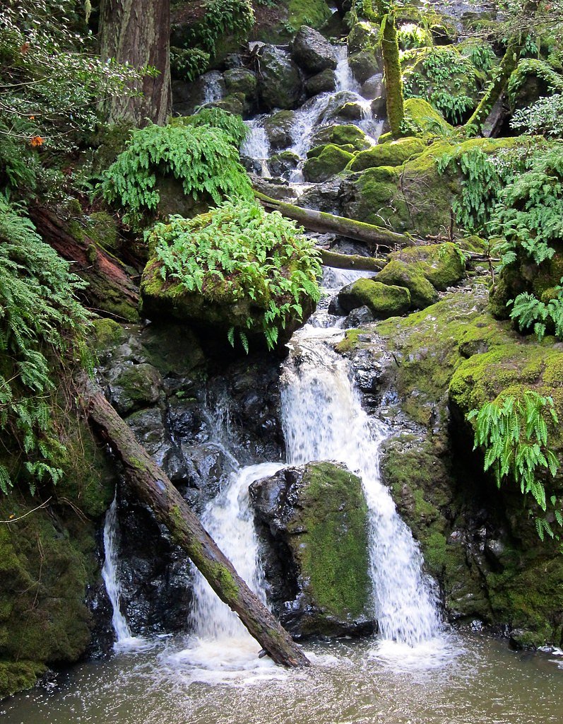 Cataract Falls waterfall