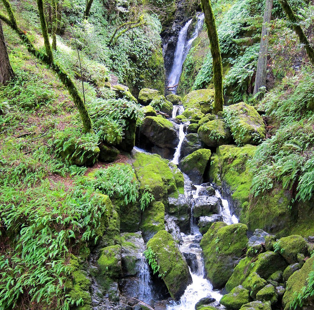 Cataract Falls waterfall