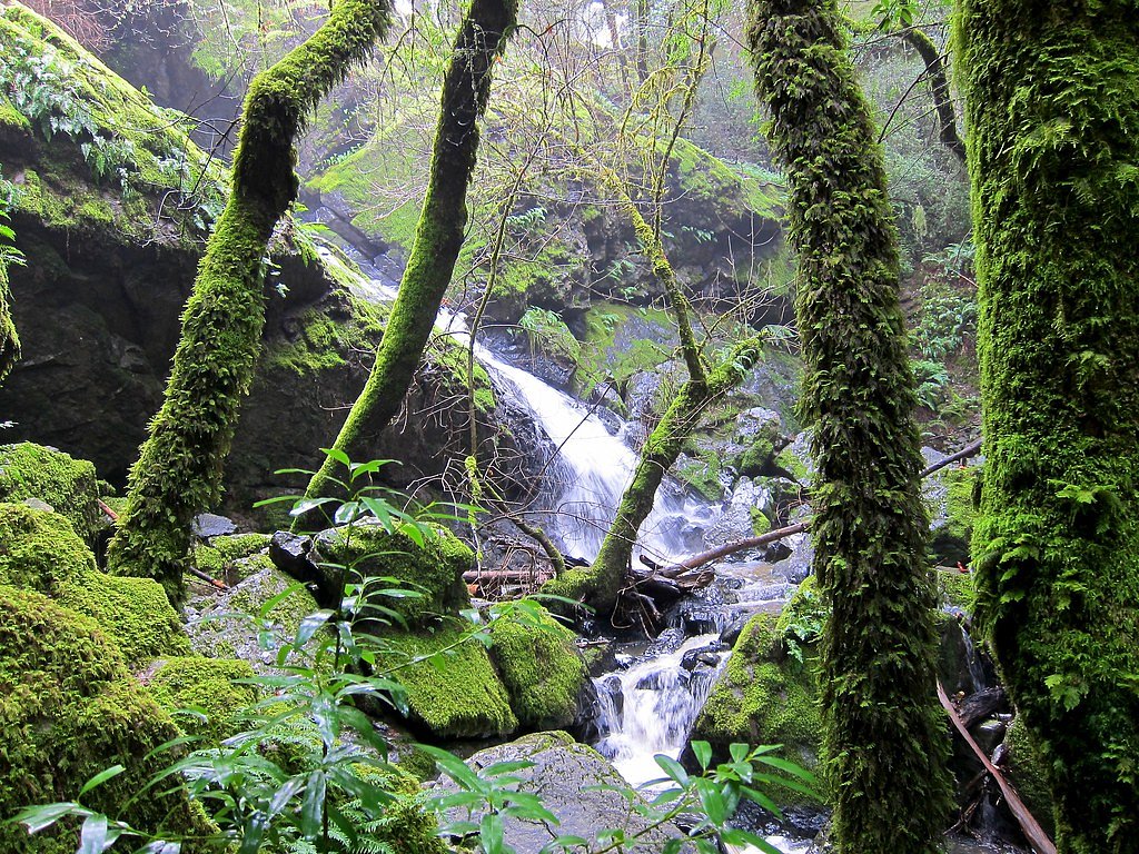 Cataract Falls waterfall