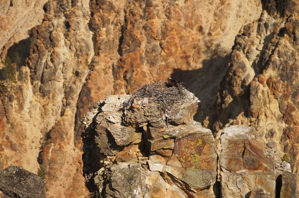 Cave Falls waterfall