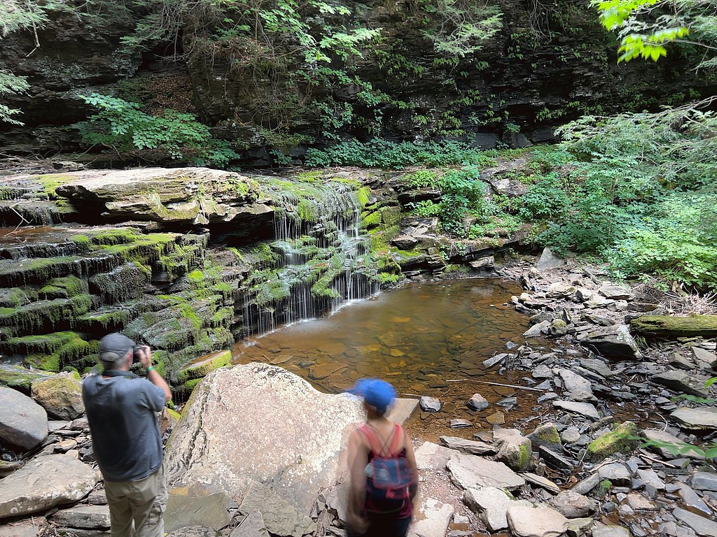 Cayuga Falls waterfall