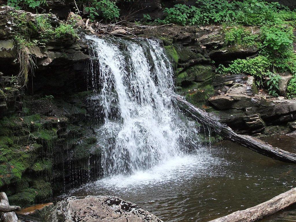 Cayuga Falls waterfall