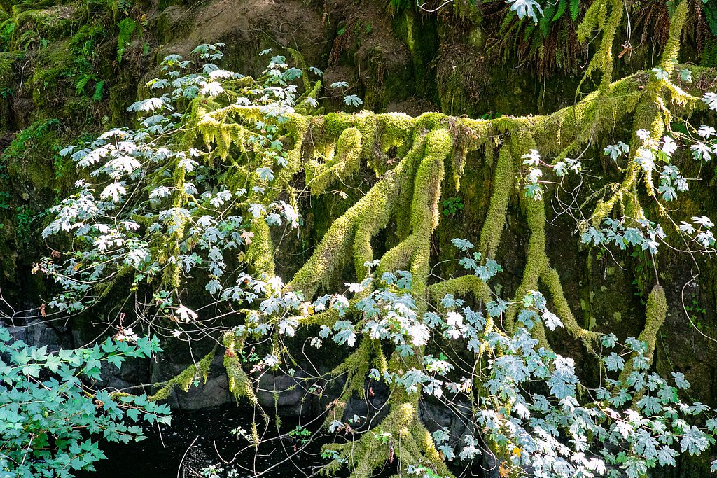 Cedar Creek Falls waterfall