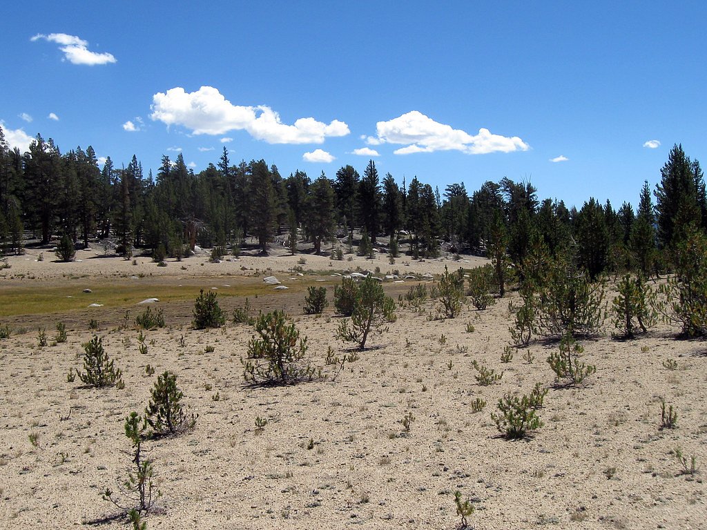 Chagoopa Falls waterfall