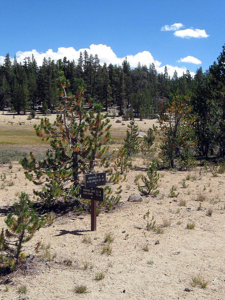 Chagoopa Falls waterfall