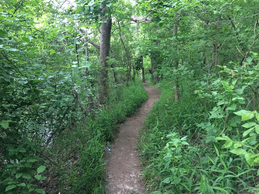 Chalk Ridge Falls waterfall