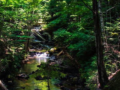 Chapel Falls, MI