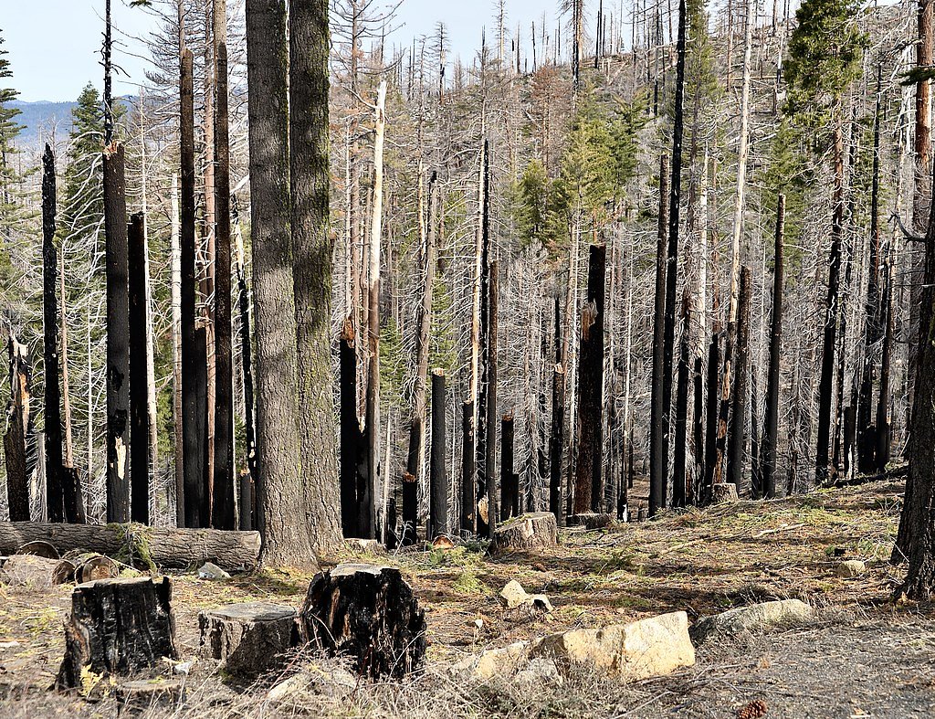 Chinquapin Falls waterfall