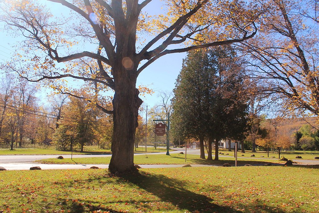 Chittenango Falls waterfall