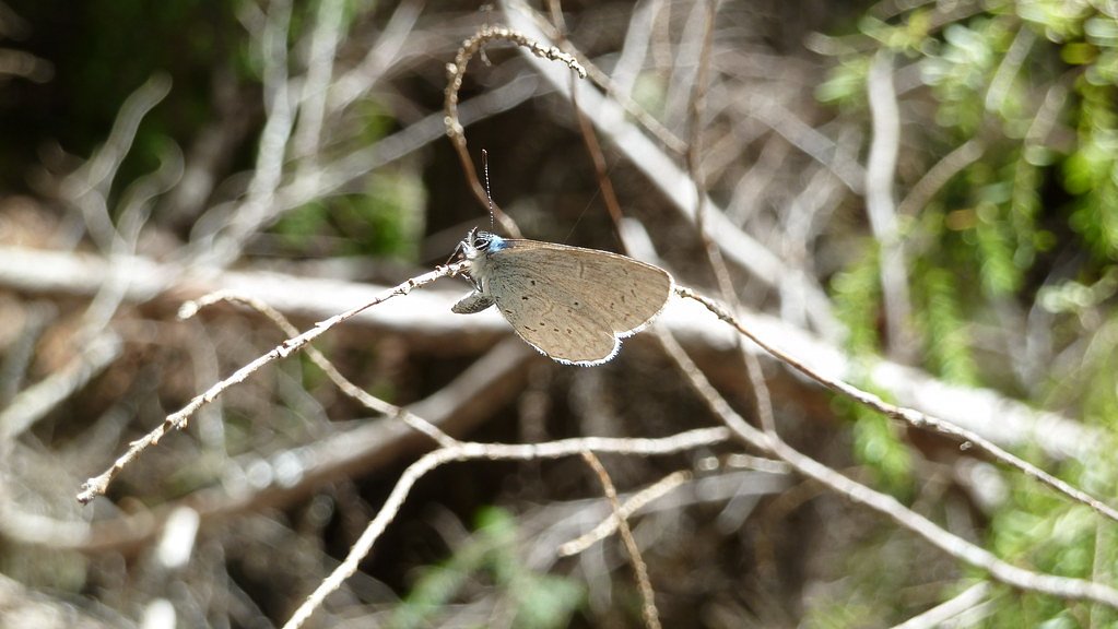 Clearwater Falls waterfall