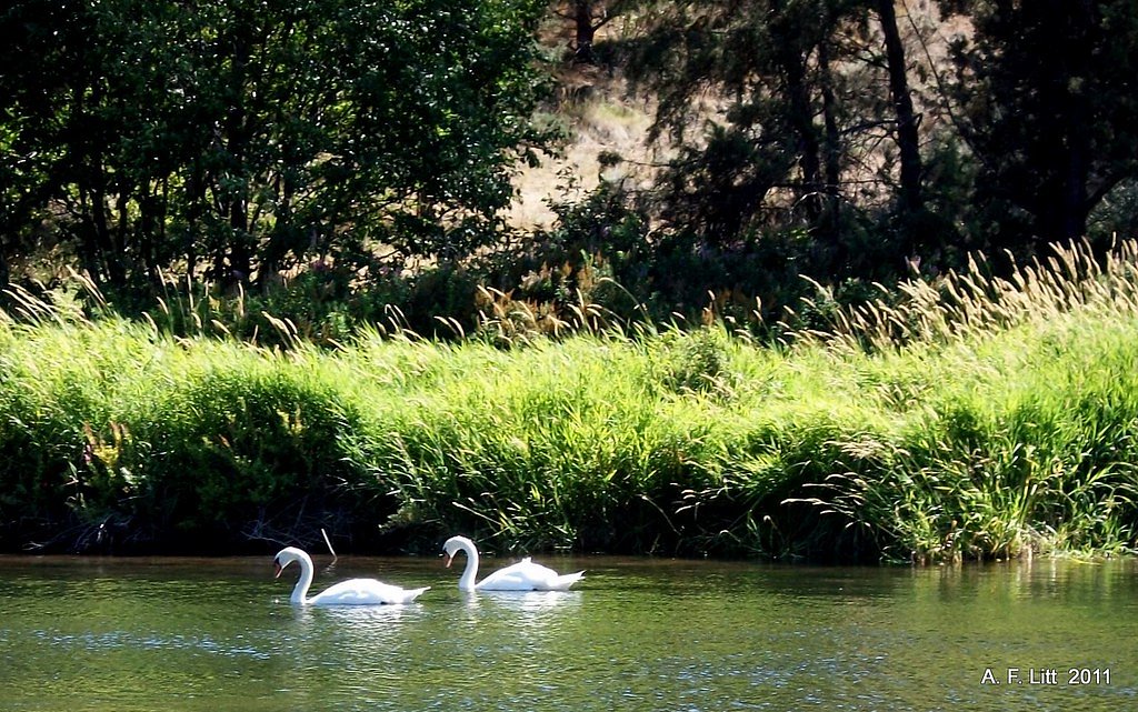 Cline Falls waterfall