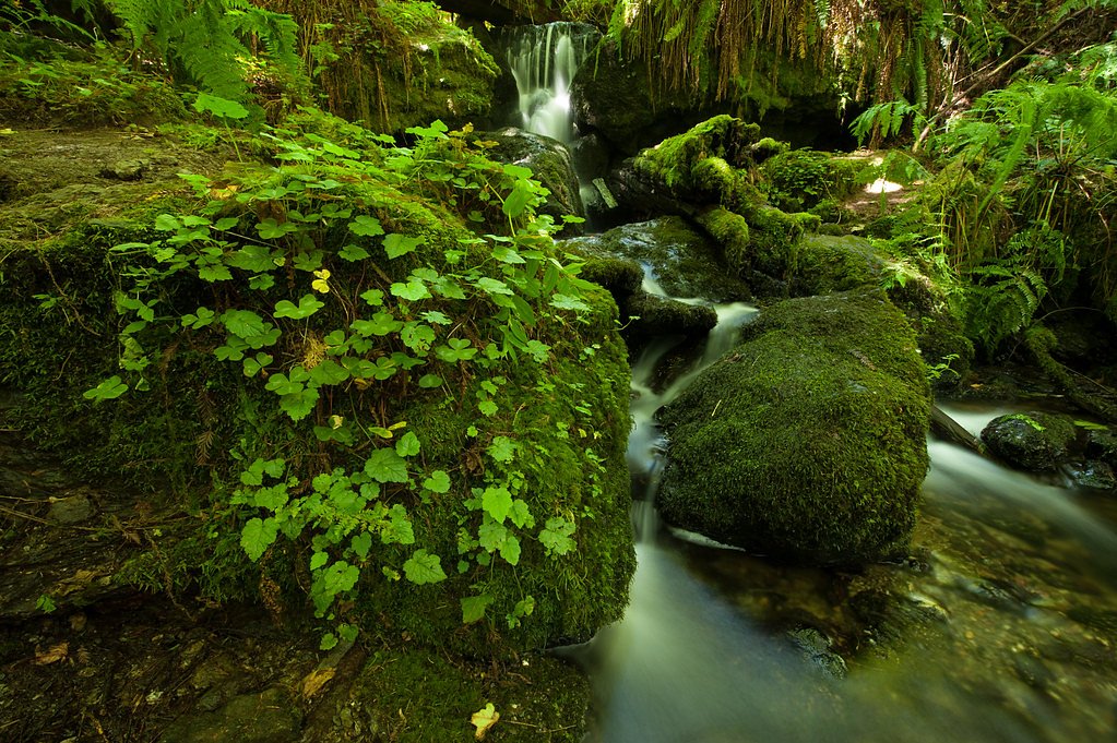 Clover Creek Falls waterfall
