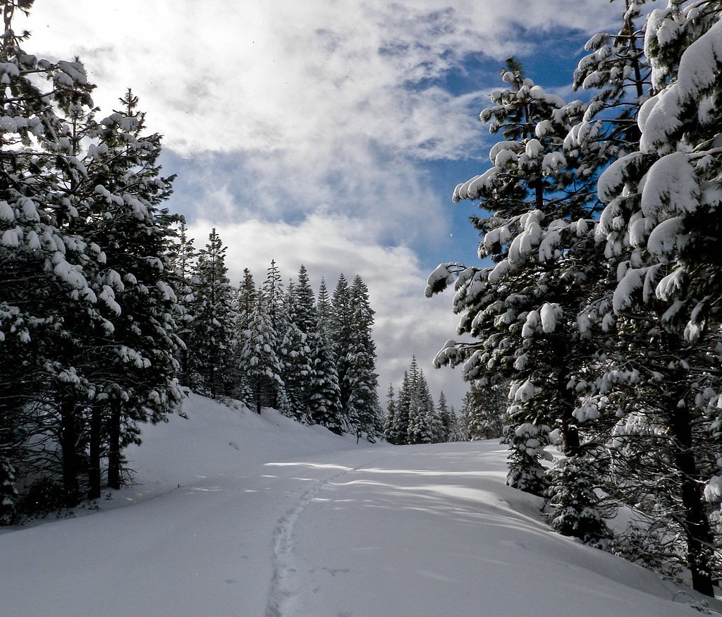 Clover Falls waterfall