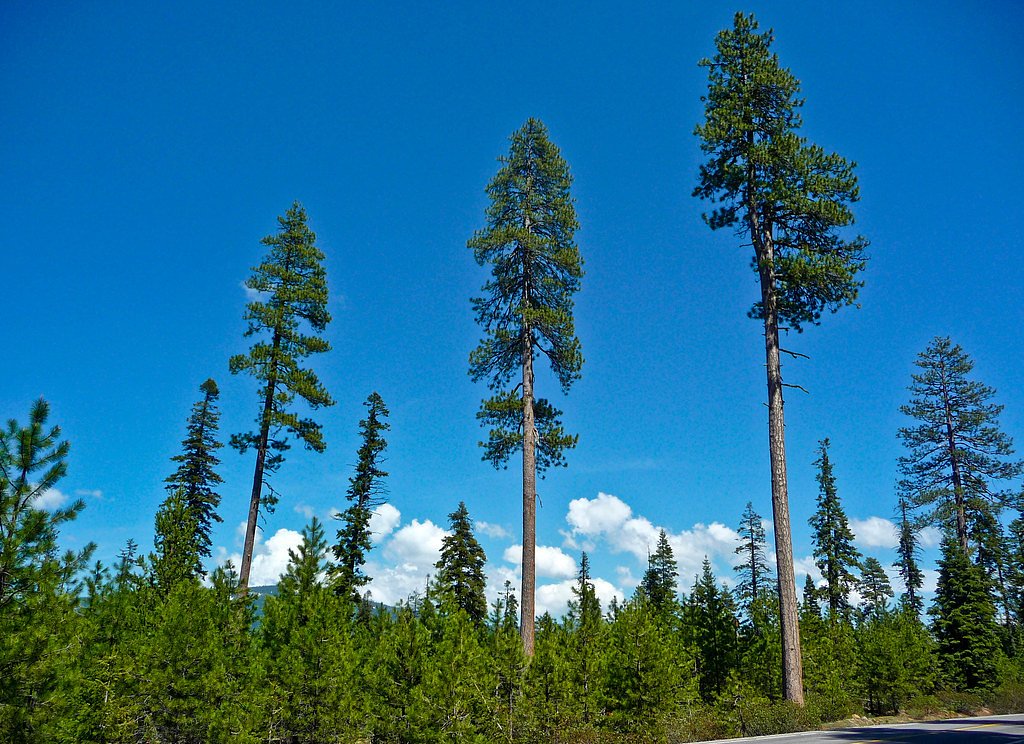 Clover Falls waterfall